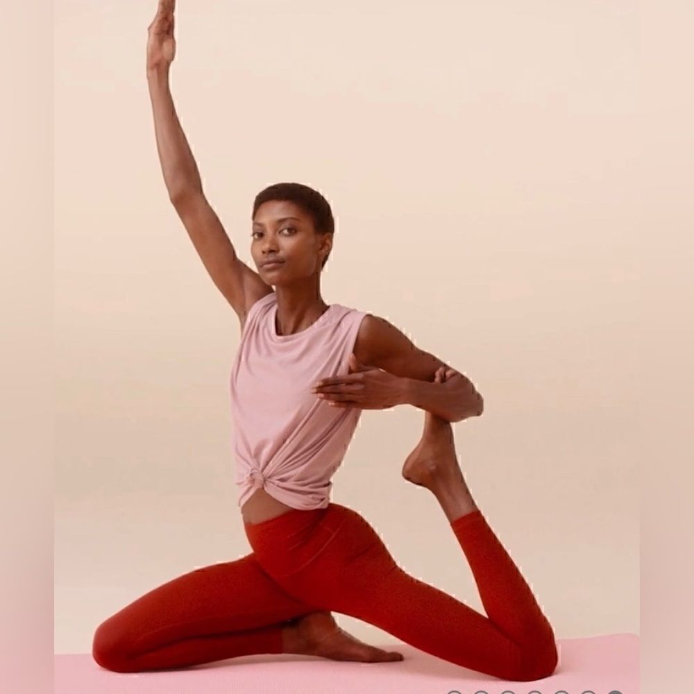 NWT Everlane The Perform Legging Cropped in Brandy Size XS